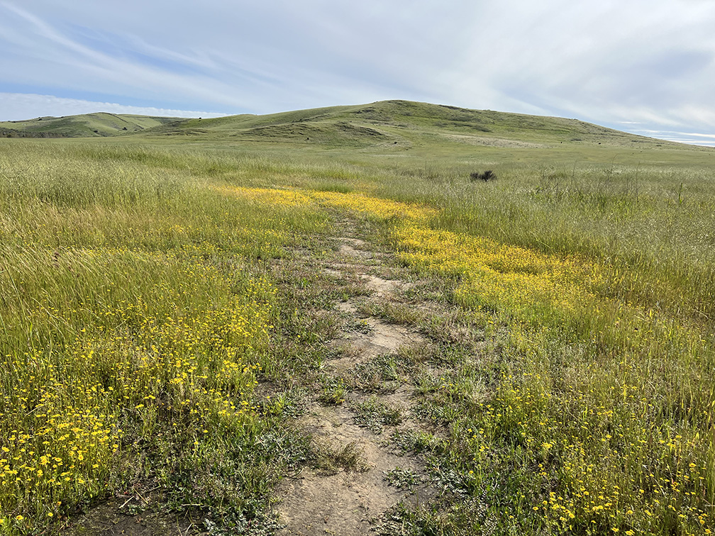 Quail Hill Trail in Irvine, California (Photo by Julie Nguyen)