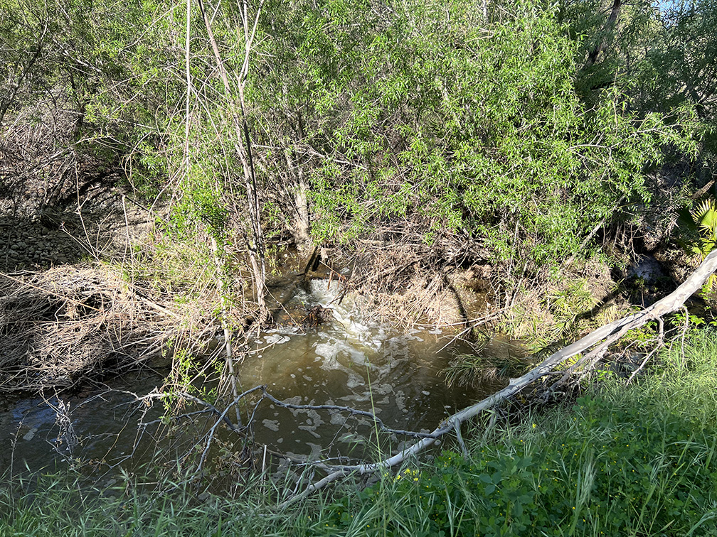 Santiago Oaks Regional Park in Orange, California (Photo by Julie Nguyen)