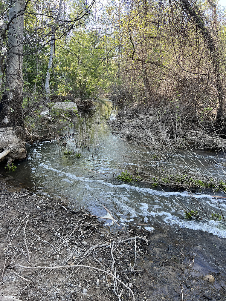 Santiago Oaks Regional Park in Orange, California (Photo by Julie Nguyen)