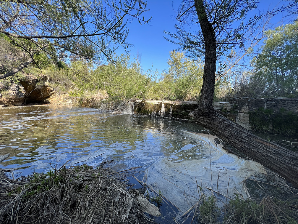 Santiago Oaks Regional Park in Orange, California (Photo by Julie Nguyen)