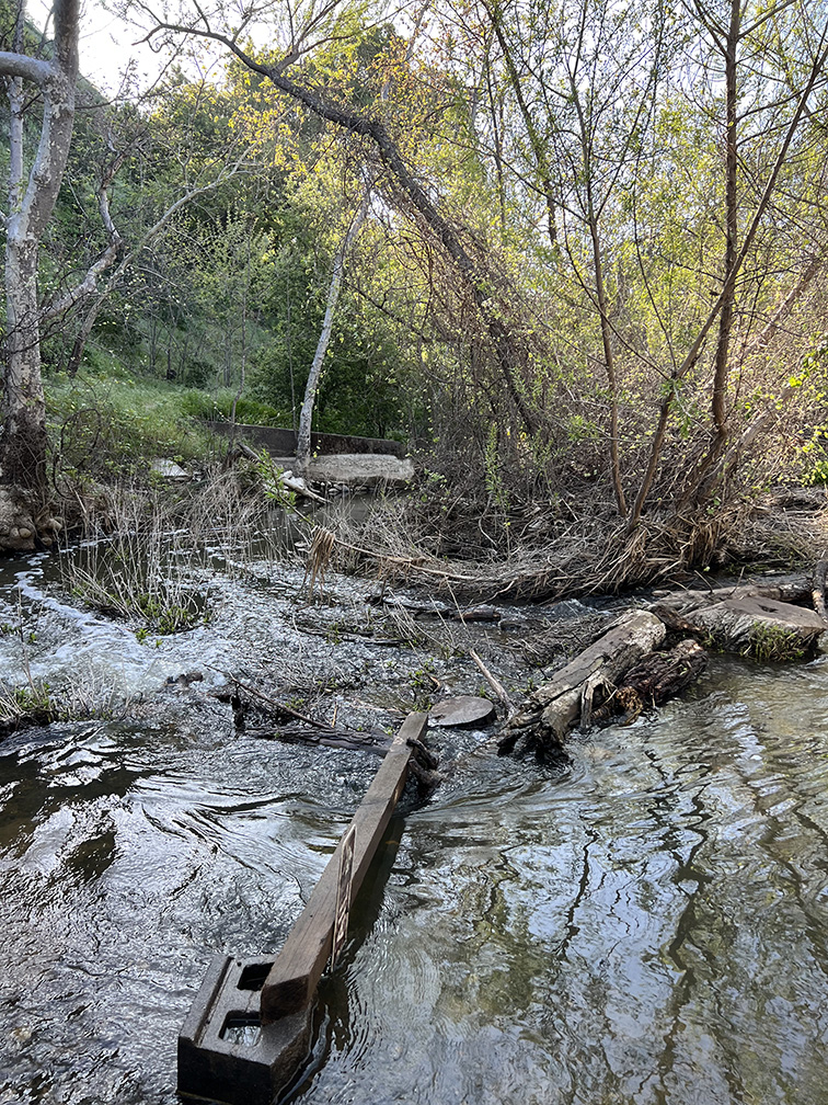 Santiago Oaks Regional Park in Orange, California (Photo by Julie Nguyen)