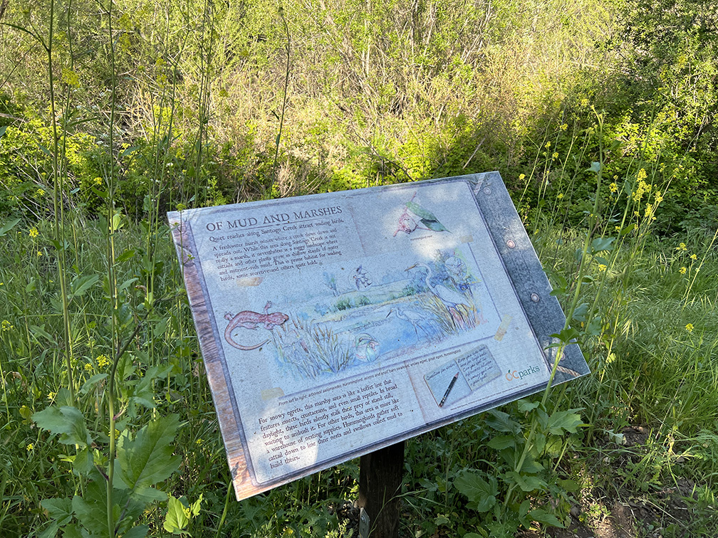 Santiago Oaks Regional Park in Orange, California (Photo by Julie Nguyen)