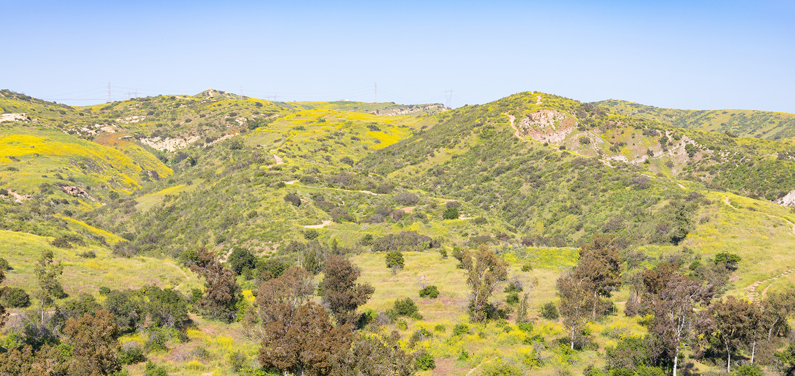 Santiago Oaks Regional Park in Orange, California (Photo by Julie Nguyen)