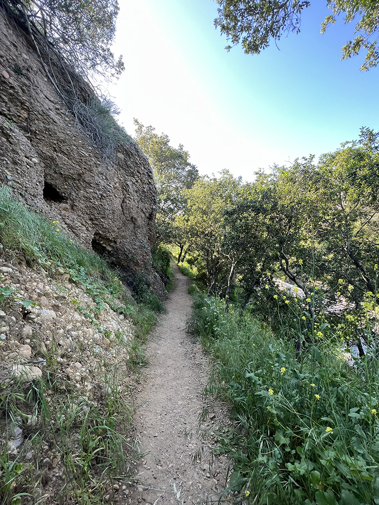 Santiago Oaks Regional Park in Orange, California (Photo by Julie Nguyen)