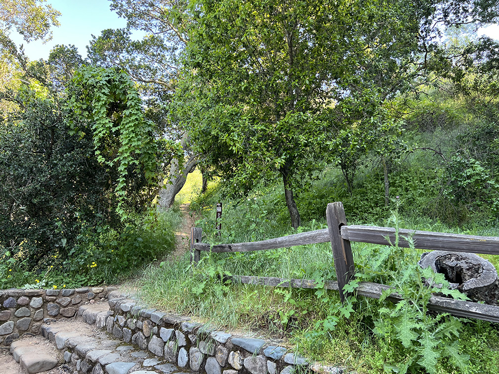 Santiago Oaks Regional Park in Orange, California (Photo by Julie Nguyen)