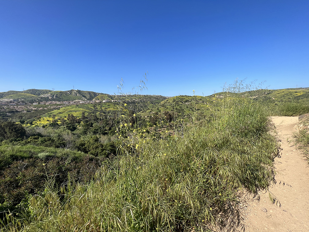 Santiago Oaks Regional Park in Orange, California (Photo by Julie Nguyen)