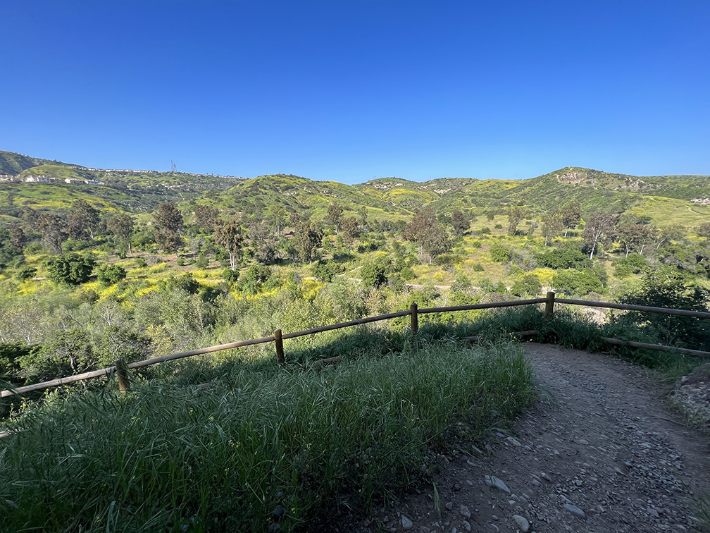 Santiago Oaks Regional Park in Orange, California (Photo by Julie Nguyen)