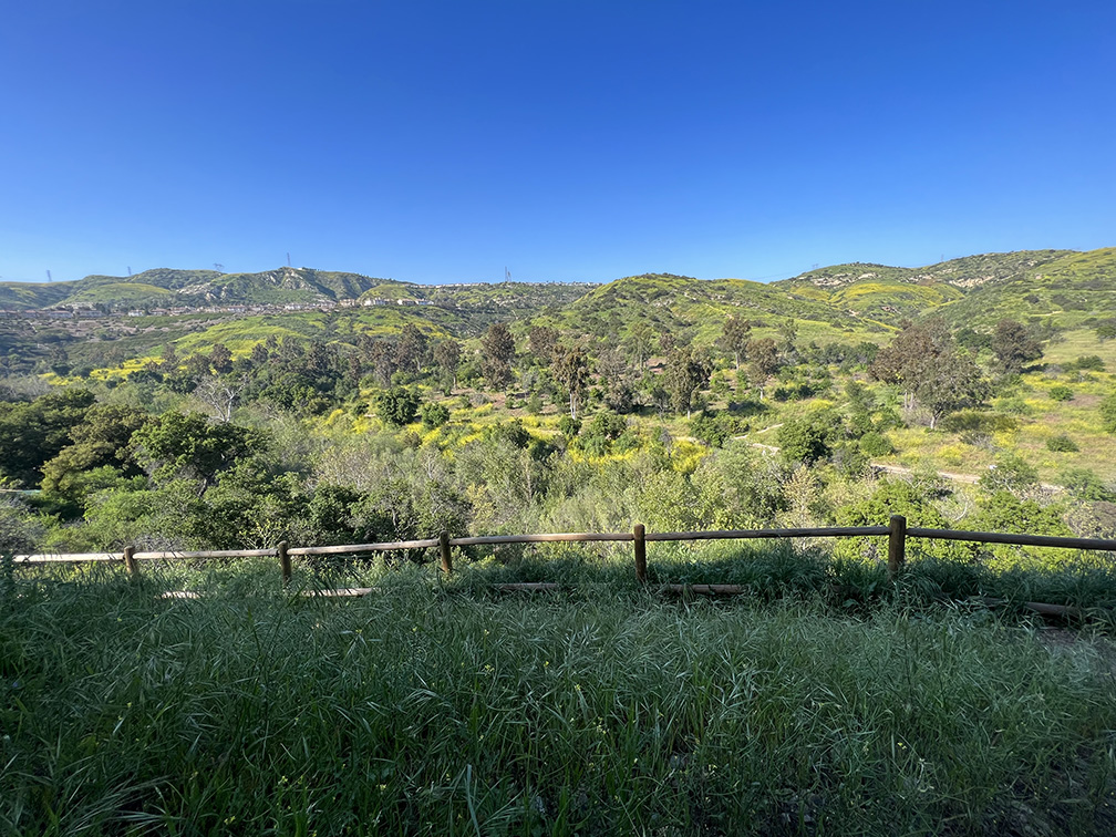 Santiago Oaks Regional Park in Orange, California (Photo by Julie Nguyen)