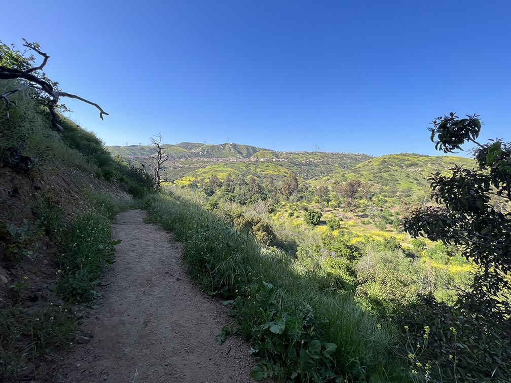 Santiago Oaks Regional Park in Orange, California (Photo by Julie Nguyen)