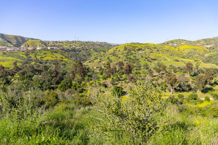 Santiago Oaks Regional Park in Orange, California (Photo by Julie Nguyen)