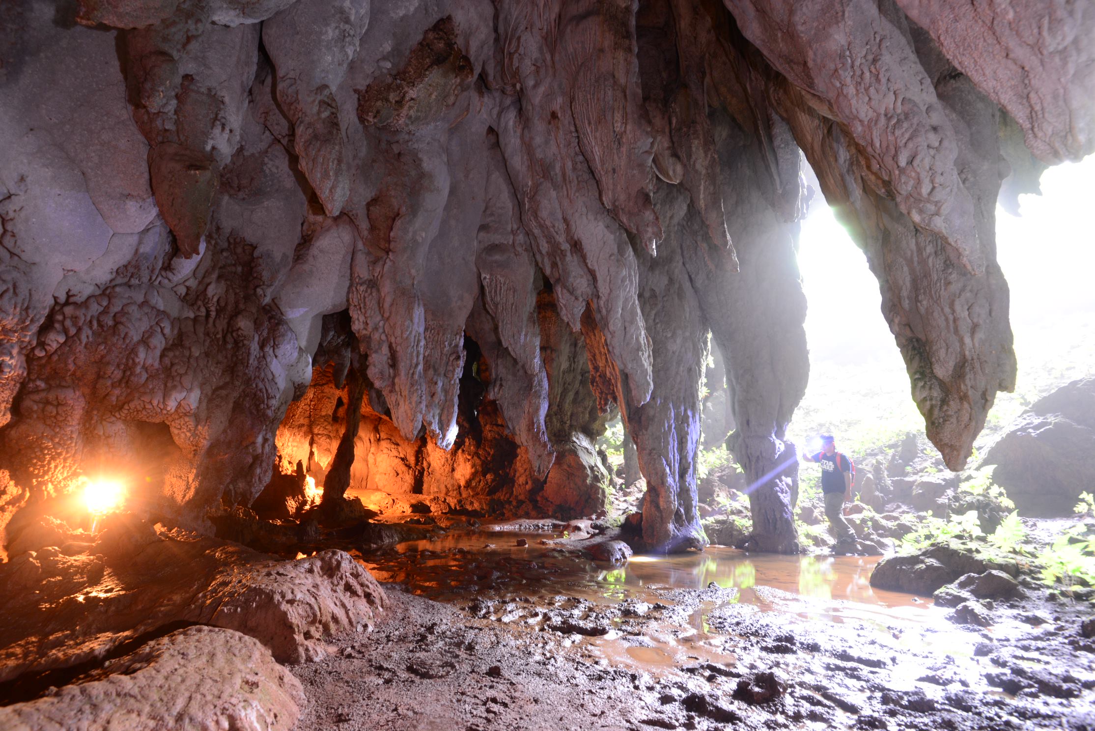 Tham Luang-Khun Nam Nang Non National Park