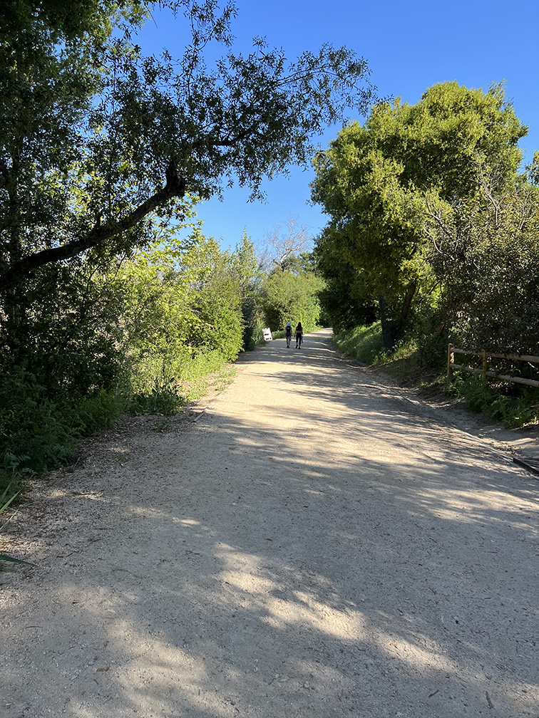 Santiago Oaks Regional Park in Orange, California (Photo by Julie Nguyen)