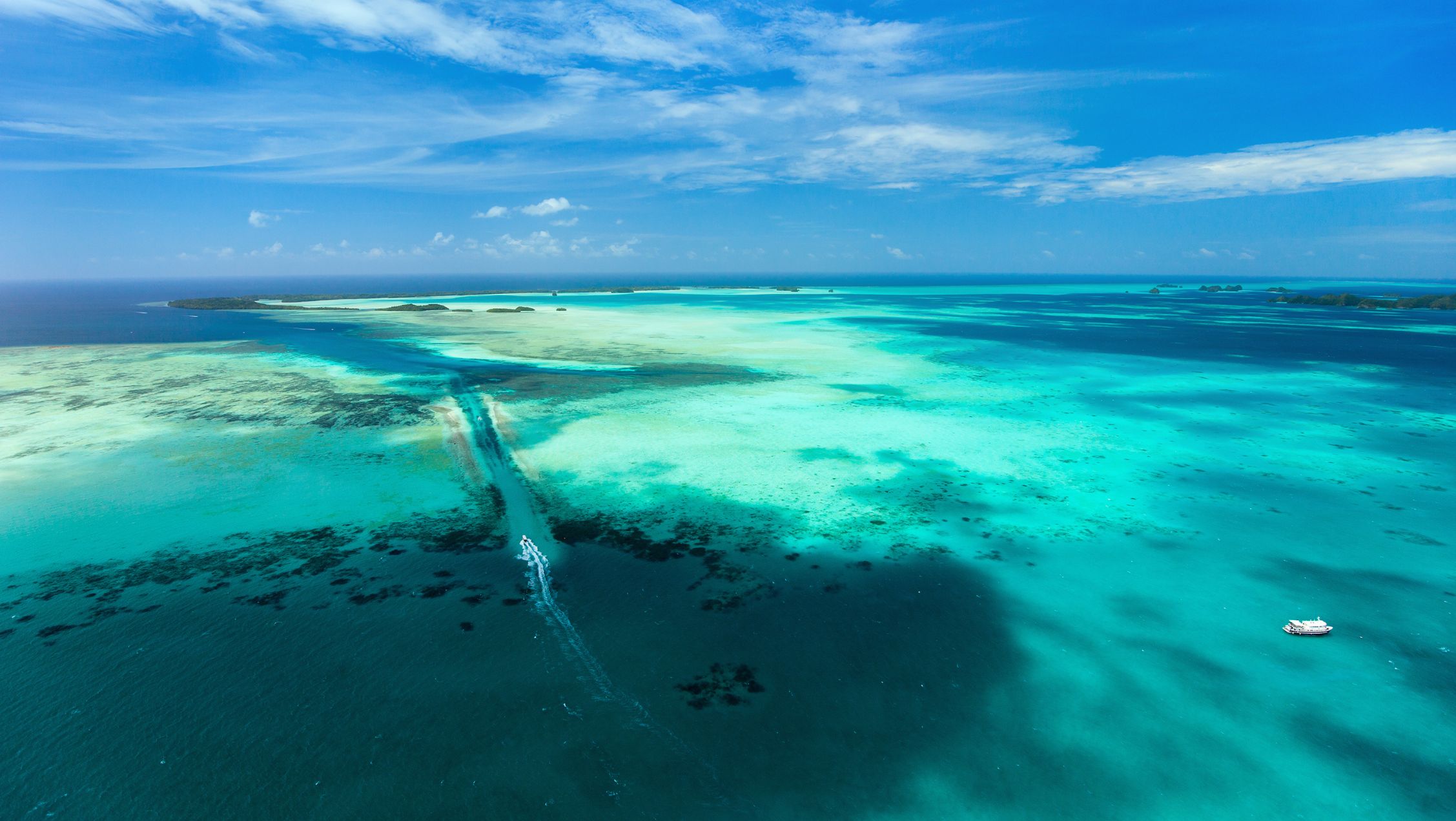 Exploring the Wonders of Palau