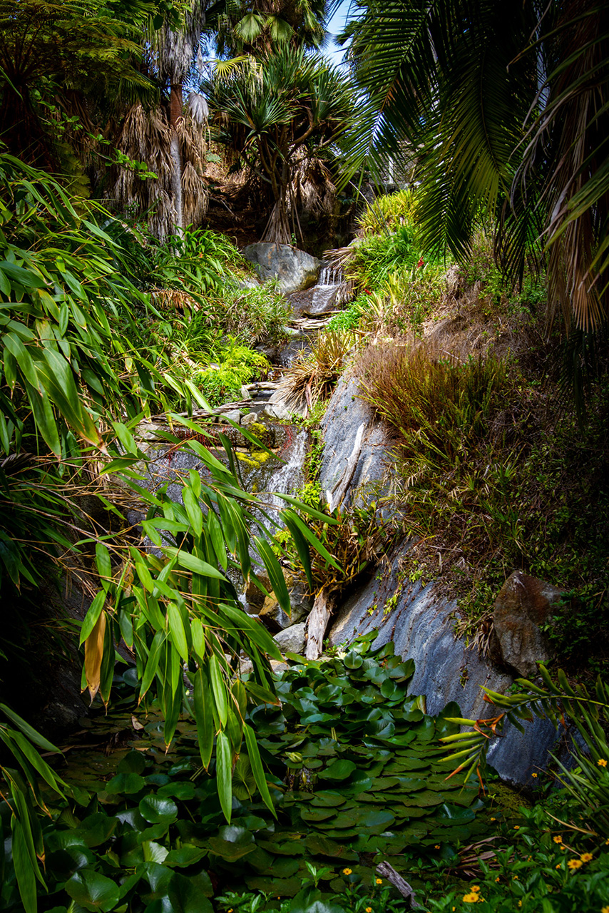 Rainforest Waterfall at New World Desert Garden at Bamboo Pond at San Diego Botanic Garden