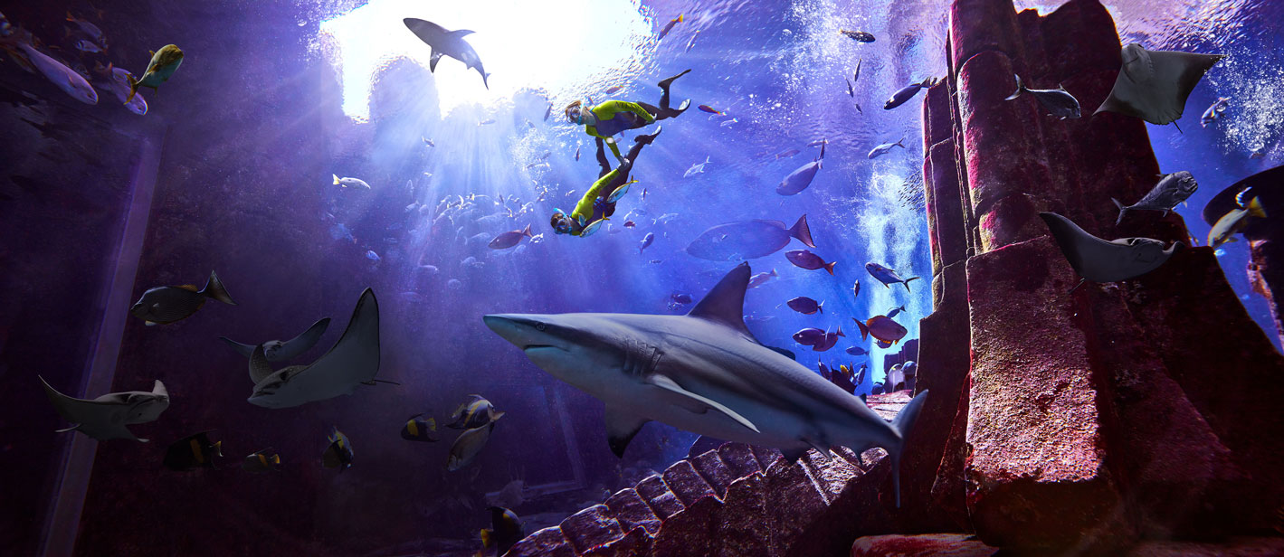 SNAP TASTE | Dive into an Ocean Adventure: Atlantis Dubai Presents Shark  Week