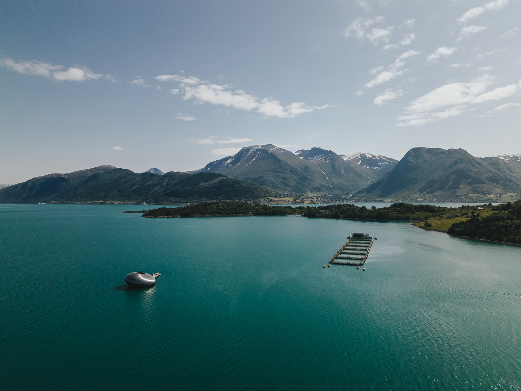 Salmon Eye in the fjord