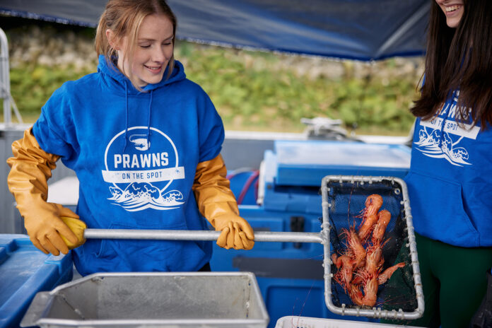 The Steveston Spot Prawn & Seafood Celebration returns at Fisherman's Wharf until June 18th, 2023