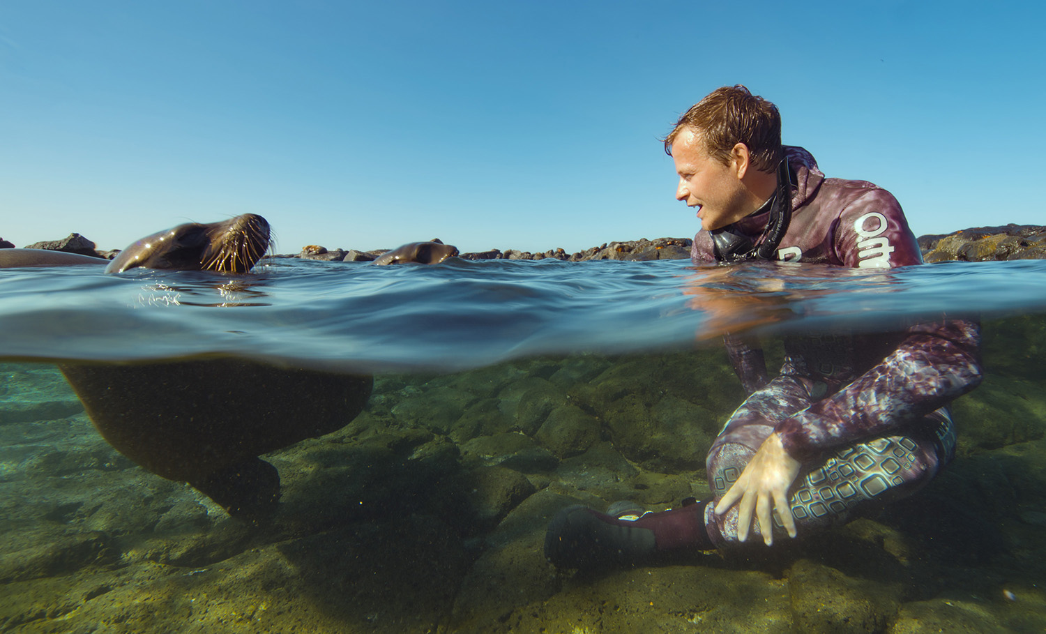 Bertie Gregory sitting in the shallows looking at sea lions. 