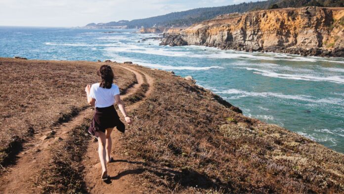 Salt Point State Park in California