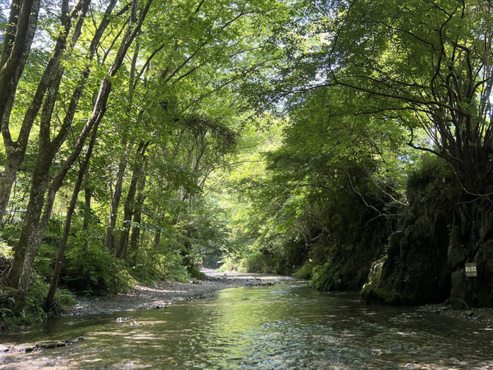 Yuyake Koyake Fureai no Sato