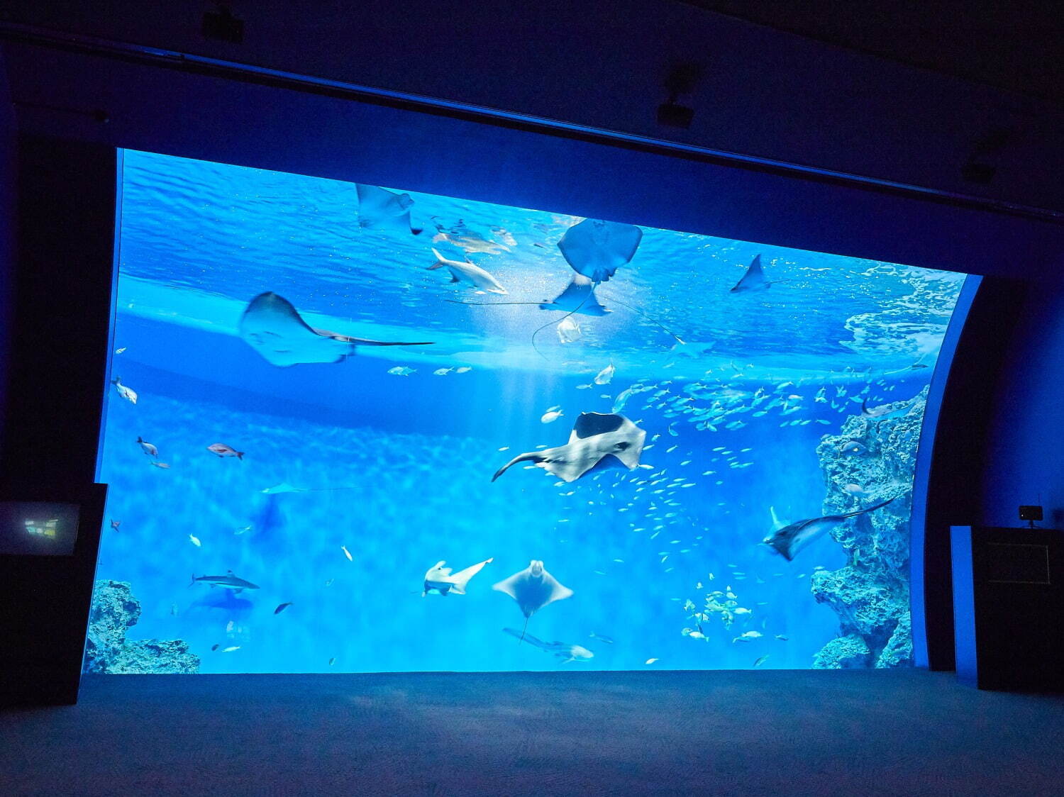 Kobe Suma Sea World