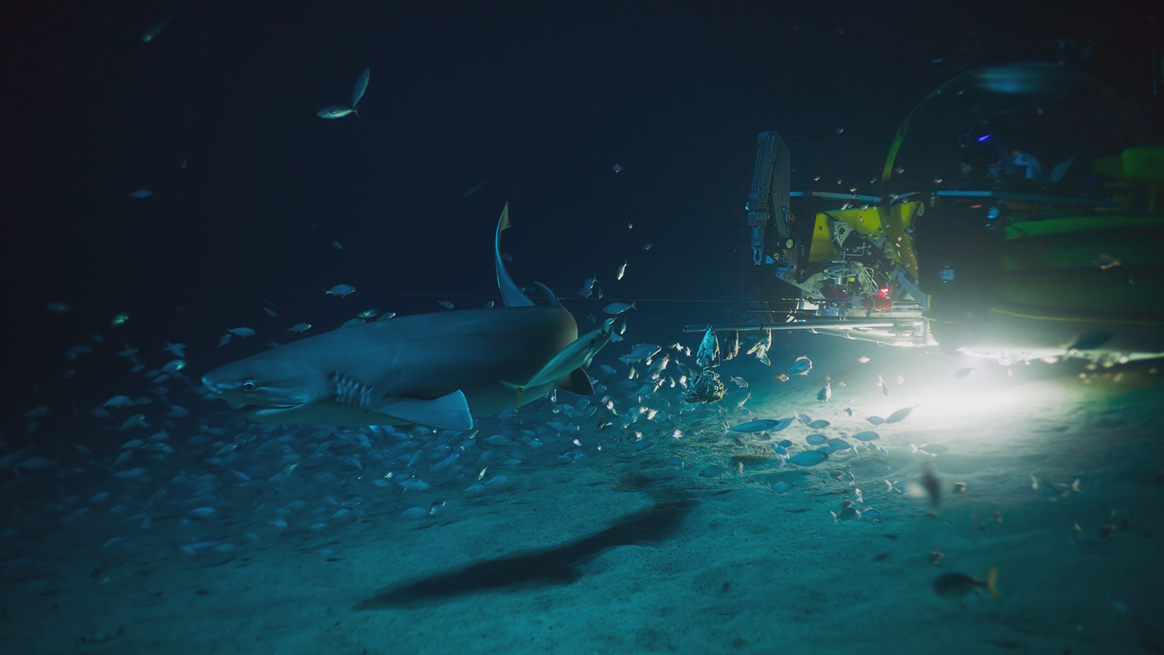 Dave Pollock, Jorge Fontes, Pedro Afonso, and Buck Taylor hook a camera tag and harpoons to the submarine.