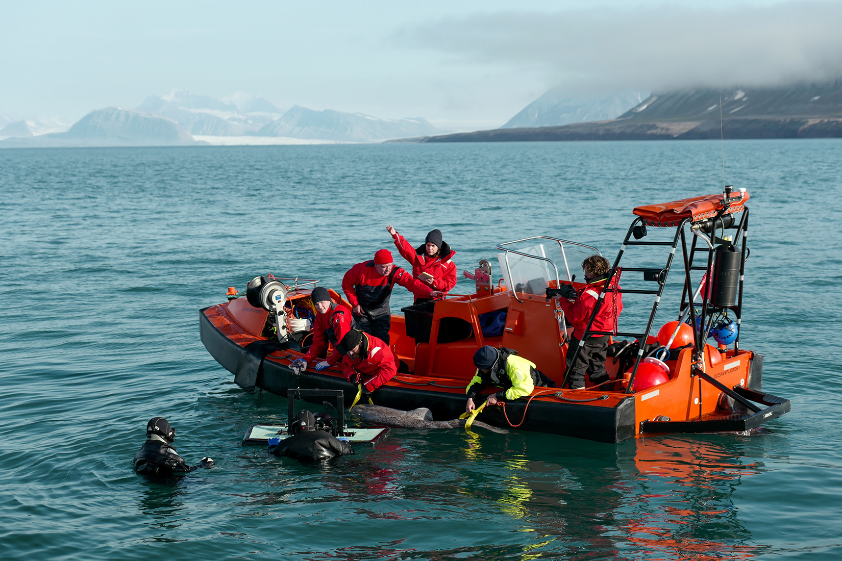 Crew John Chambers and Crew David Reichert film in the water next to the FRC, as Eric Ste-Marie, Aldo Kane, Nigel Hussey, Melissa Marquez, Crew Josh Palmer, and Cameraman Jamie Holland ride in boat while tagging a Greenland Shark.