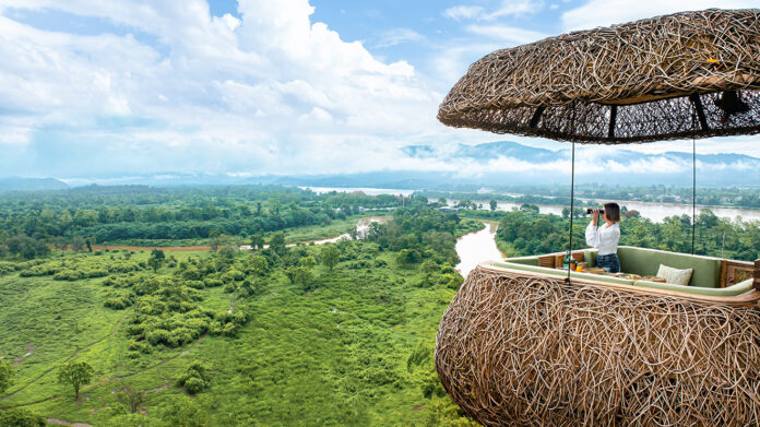 Tree Top Dining at Anantara