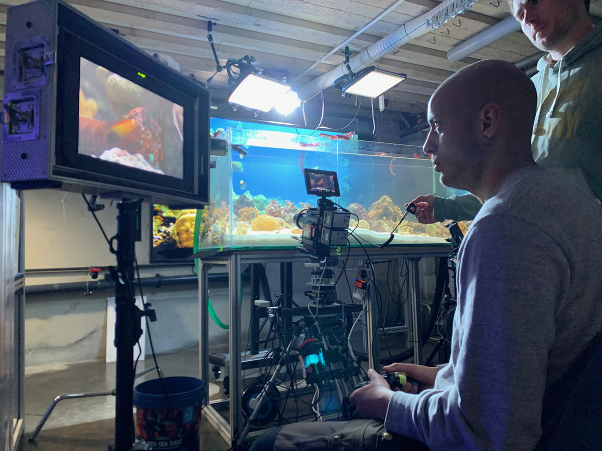 Director of Photography Nathan Small and Producer David John film mantis shrimp during a shoot for the "Life's A Beach" episode of "A Real Bug's Life."