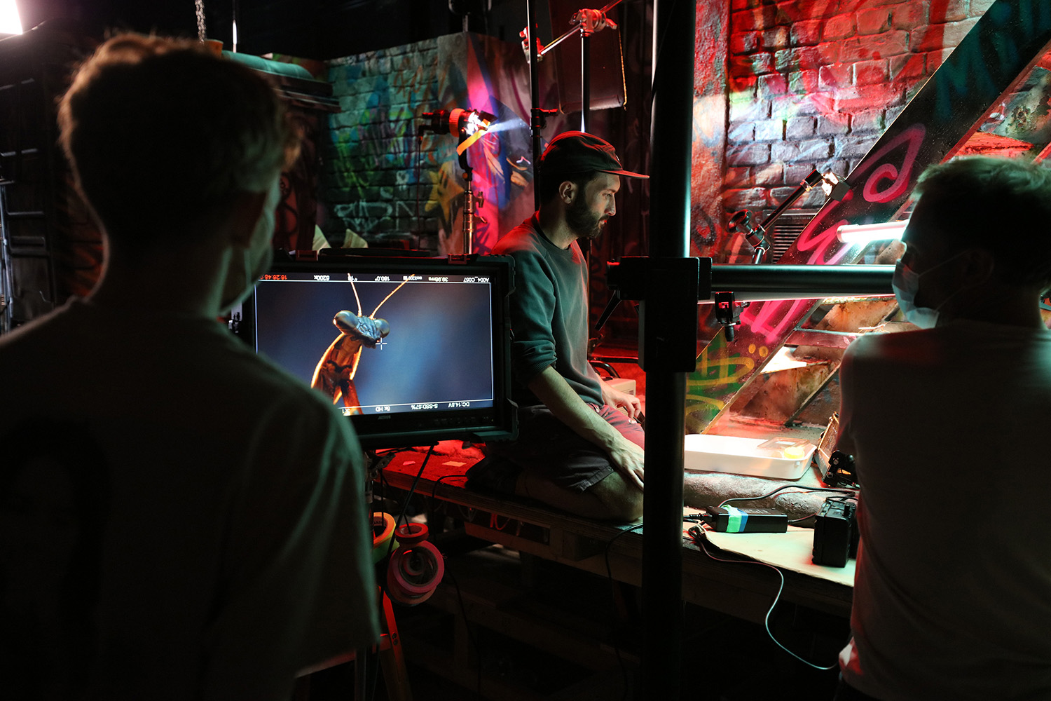 Assistant producer Euan Smith, animal wrangler Tim Cockerill, and Director of Photography Rob Hollingworth film a praying mantis during a shoot for "The Big City" episode of "A Real Bug's Life."