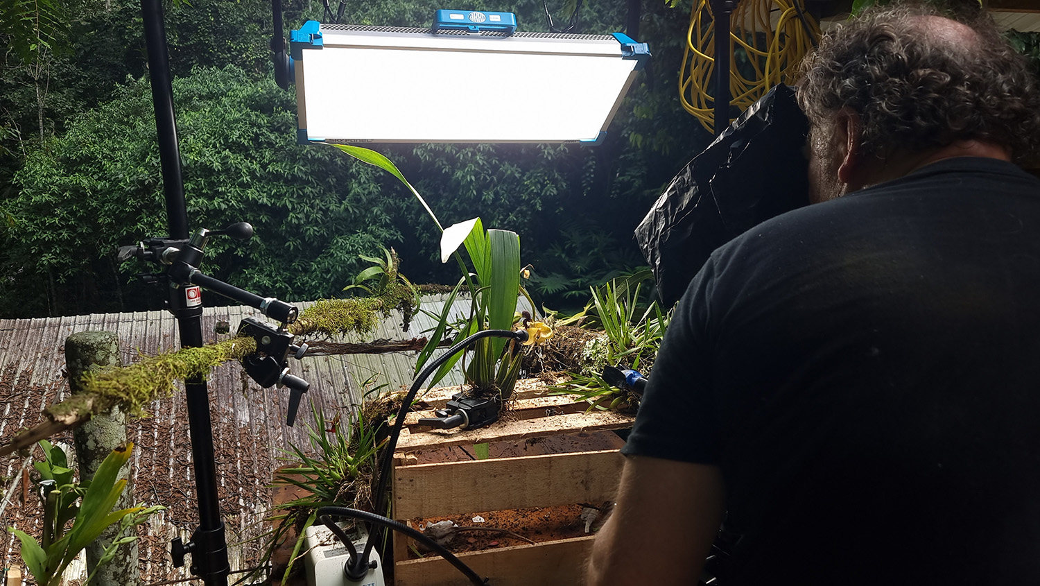 Director of Photography Richard Kirby films orchid bees approaching an orchid during a shoot for the "Welcome to the Jungle" episode of "A Real Bug's Life."