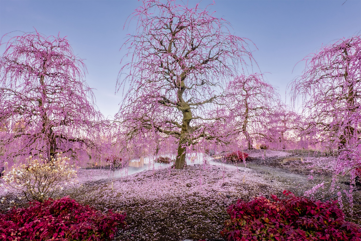 © Yoshiaki Kudo, Japan, Shortlist, Open Competition, Landscape, 2025 Sony World Photography Awards